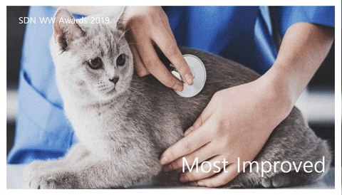 giphy.gif