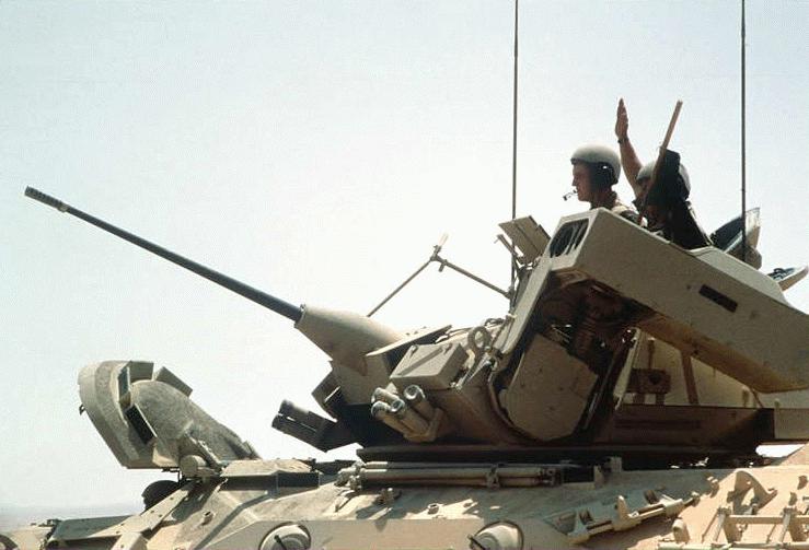 bushmaster-dvic482.jpg