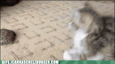 juPPecFktUCxHvk8lReTwQ2.gif