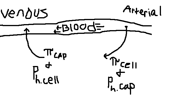moYsJ.png