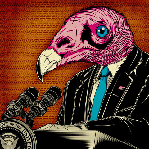 vulture.jpg