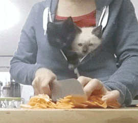 RA4bdpK.gif