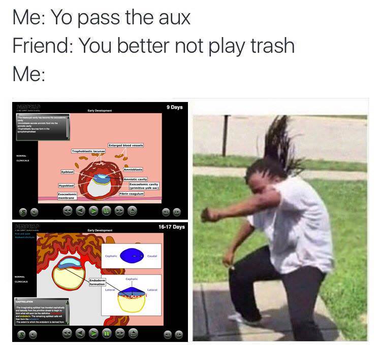k4DMqBF.jpg