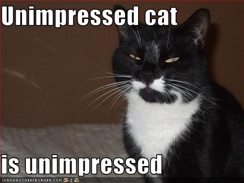 unimpressed-cat.jpg