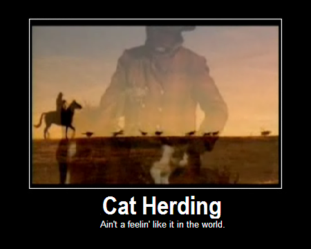 cat%20herding.png