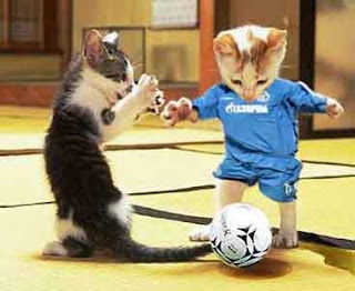 Soccer+Cats.bmp