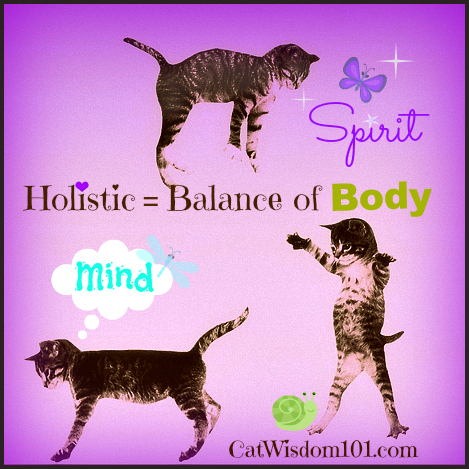 holistic-cats-body-mind-spirt-infographic.jpg