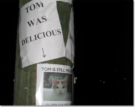 tom-was-delicious.jpg