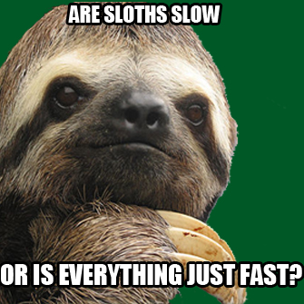 sloths_slow_or_everything_fast_meme_cuipo.jpg