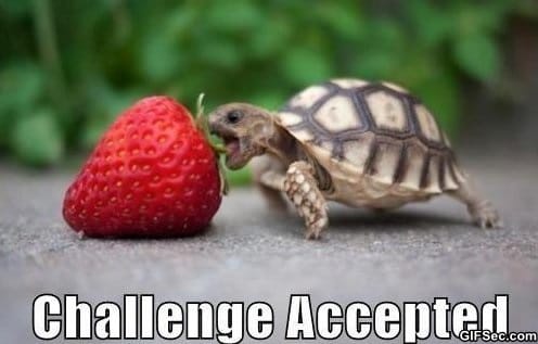 Challenge-Accepted_3.jpg