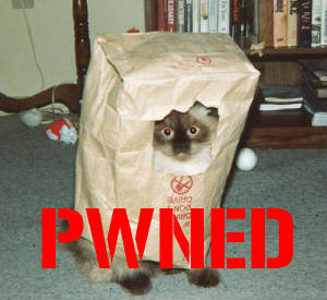 pwned_cat1w300h275.jpg