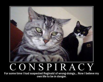 cat-conspiracy.jpg