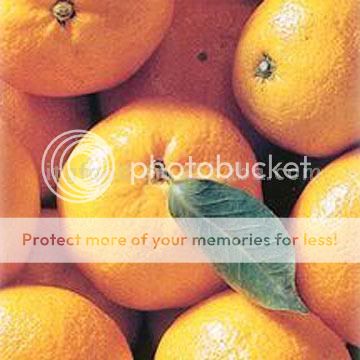 Fresh_Mandarin_Orange___Lugan__.jpg
