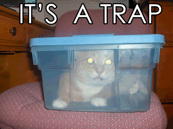 its-a-trap-cat.gif