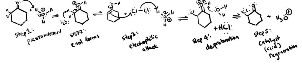 mechanism.jpg