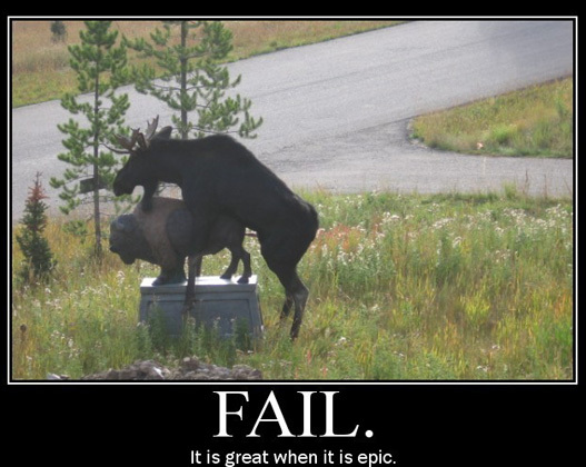 moose-epic-fail2.jpg