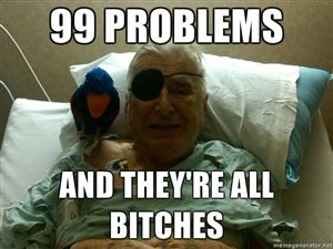 99-problems-and-theyre-all-bitches.jpg