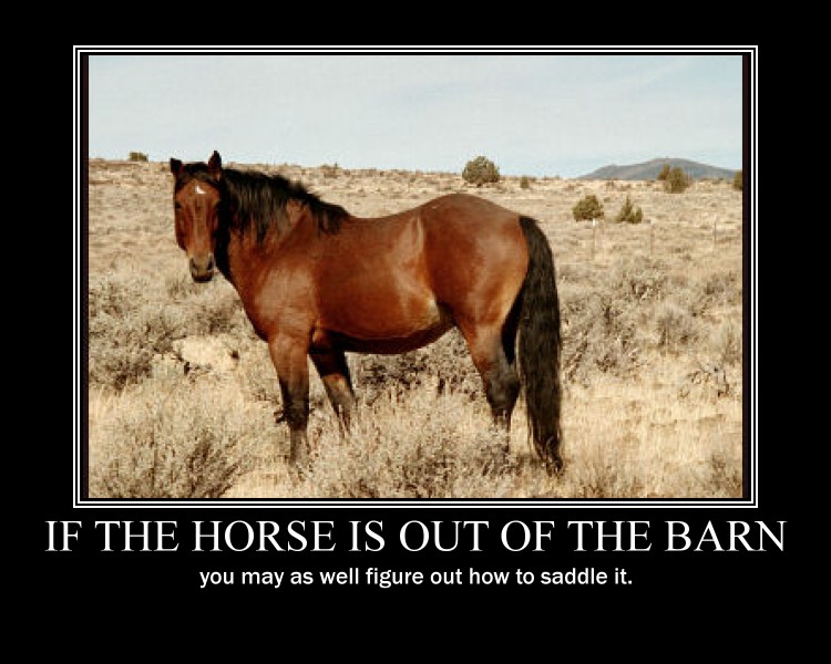 horsebarn.jpg