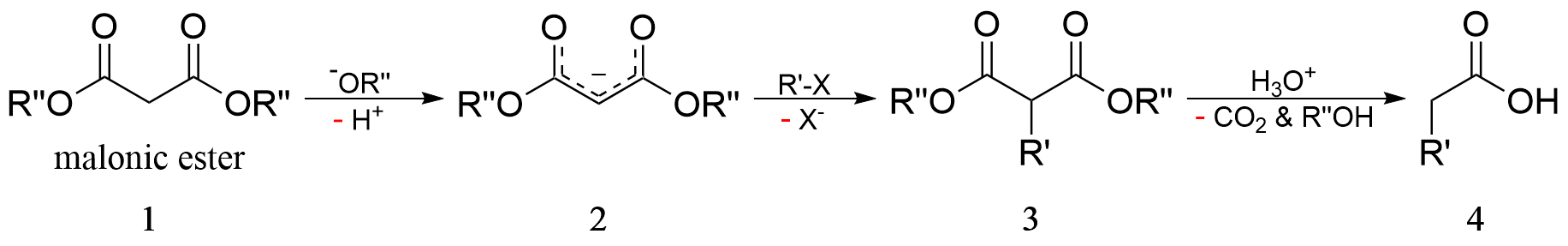 Malonic_ester_synthesis.png