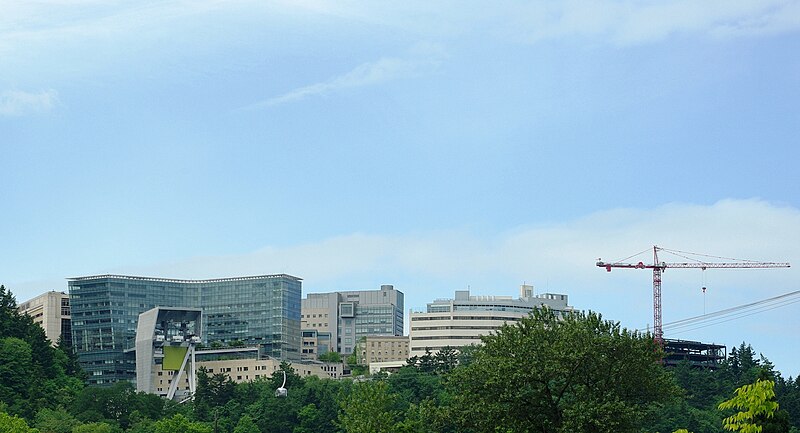 800px-OHSU_from_South_Waterfront.JPG