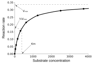 300px-Michaelis-Menten_saturation_curve_of_an_enzyme_reaction.svg.png