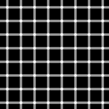 220px-Grid_illusion.svg.png