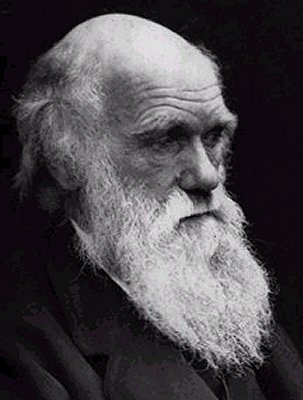 darwin.jpg