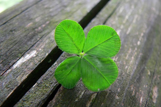 4-leaf-clover-550x366.jpeg