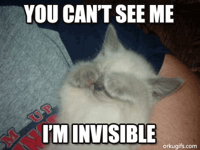 you-cant-see-me-im-invisible_2291.gif