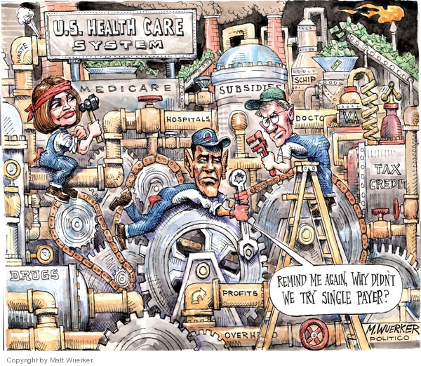 Why-Not-Try-Single-Payer-Matt-Wuerker.jpg