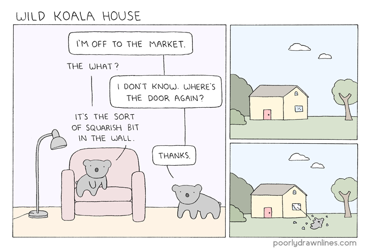 wild-koala-house.png