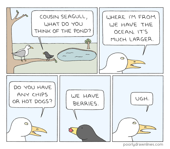 cousin-seagull.png