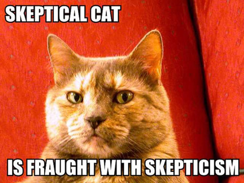 skeptical-cat-is-fraught-with-skepticism_w800.jpg.