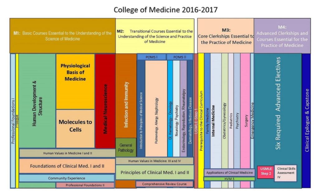 Neomed%2Bcurriculum.JPG