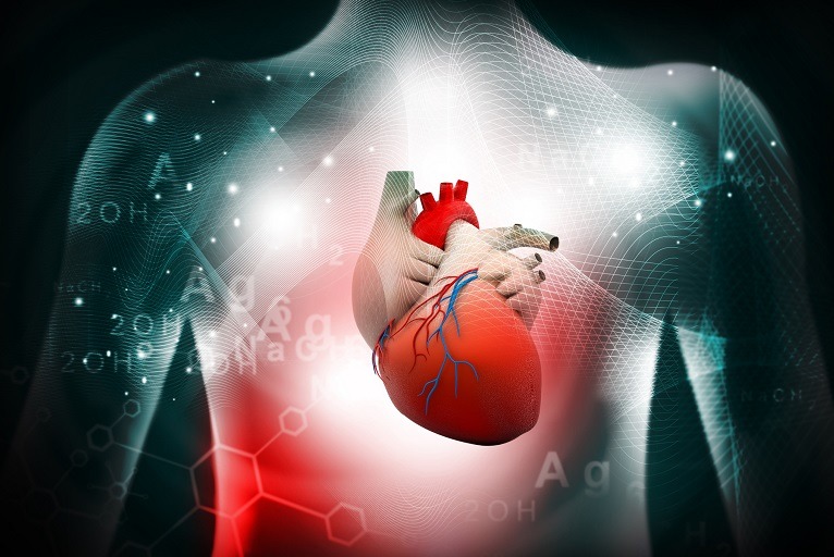 cardiovascularnews.com