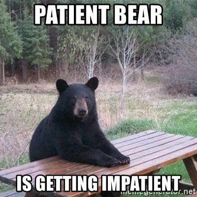patient-bear-is-getting-impatient.jpg