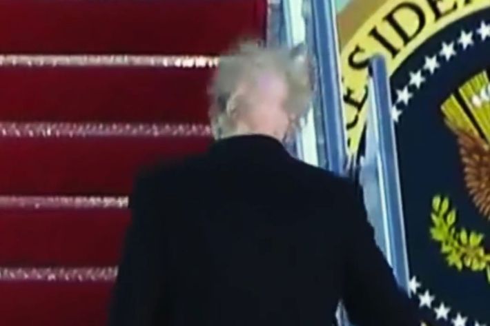 07-donald-trump-hair.w710.h473.jpg