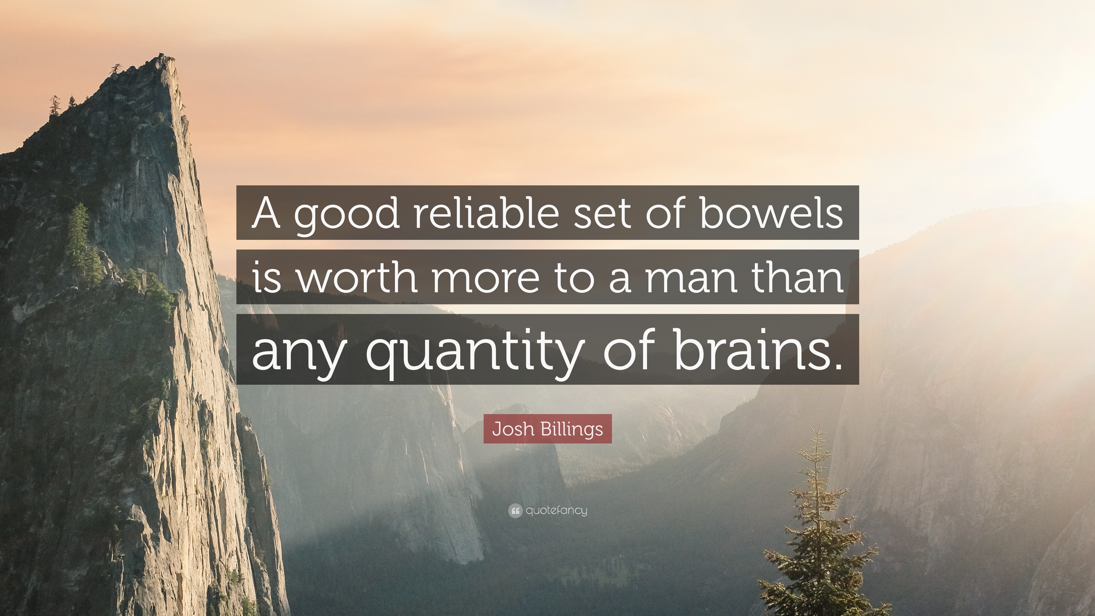 582859-Josh-Billings-Quote-A-good-reliable-set-of-bowels-is-worth-more-to.jpg