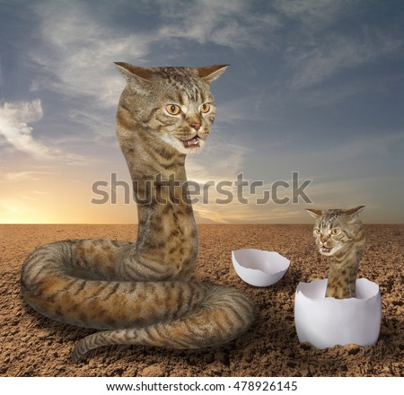 stock-photo-a-cat-looks-like-a-big-hairy-snake-there-is-its-cub-in-a-egg-near-it-478926145.jpg