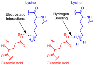 320px-Next_Revisit_Glutamic_Acid_Lysine_salt_bridge.png