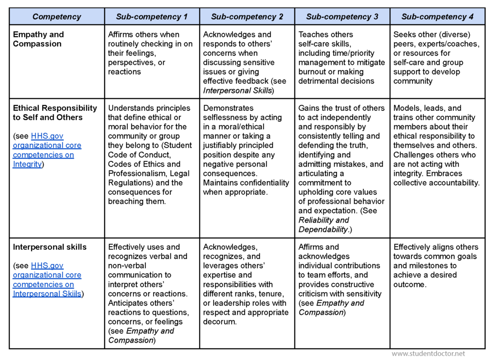 Pre-Professional Rubric - Page 2