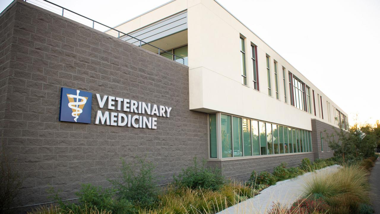 www.vetmed.ucdavis.edu